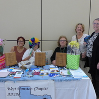 Professional Health Fair at Houston Methodist West Hospital