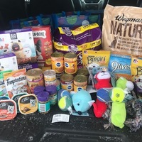 Donations to Lollipop Farm, February 2020