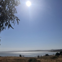 Group Hike, Point Pinole Regional Shoreline, July 2024