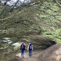 Mill Valley Group Hike, 08/23/25