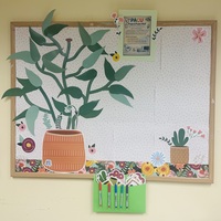 Southern NH Medical Center