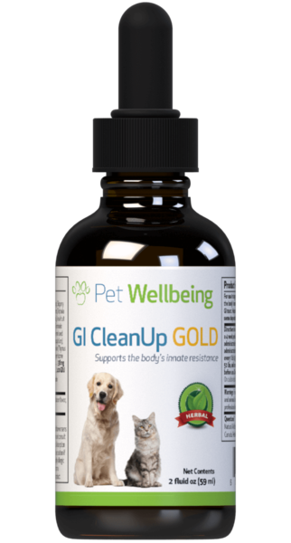 GI CleanUp Gold for Dog Worms by Pet Wellbeing