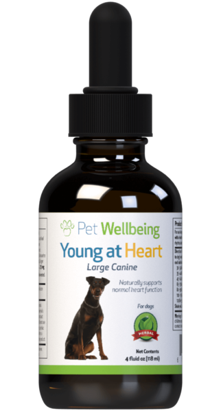 Young at Heart for Dog Heart Disease by Pet Wellbeing