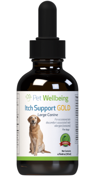 Itch Support Gold for Dogs by Pet Wellbeing