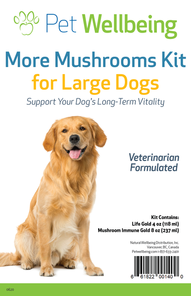 More Mushrooms Kit for Cancer - Large Dog by Pet Wellbeing