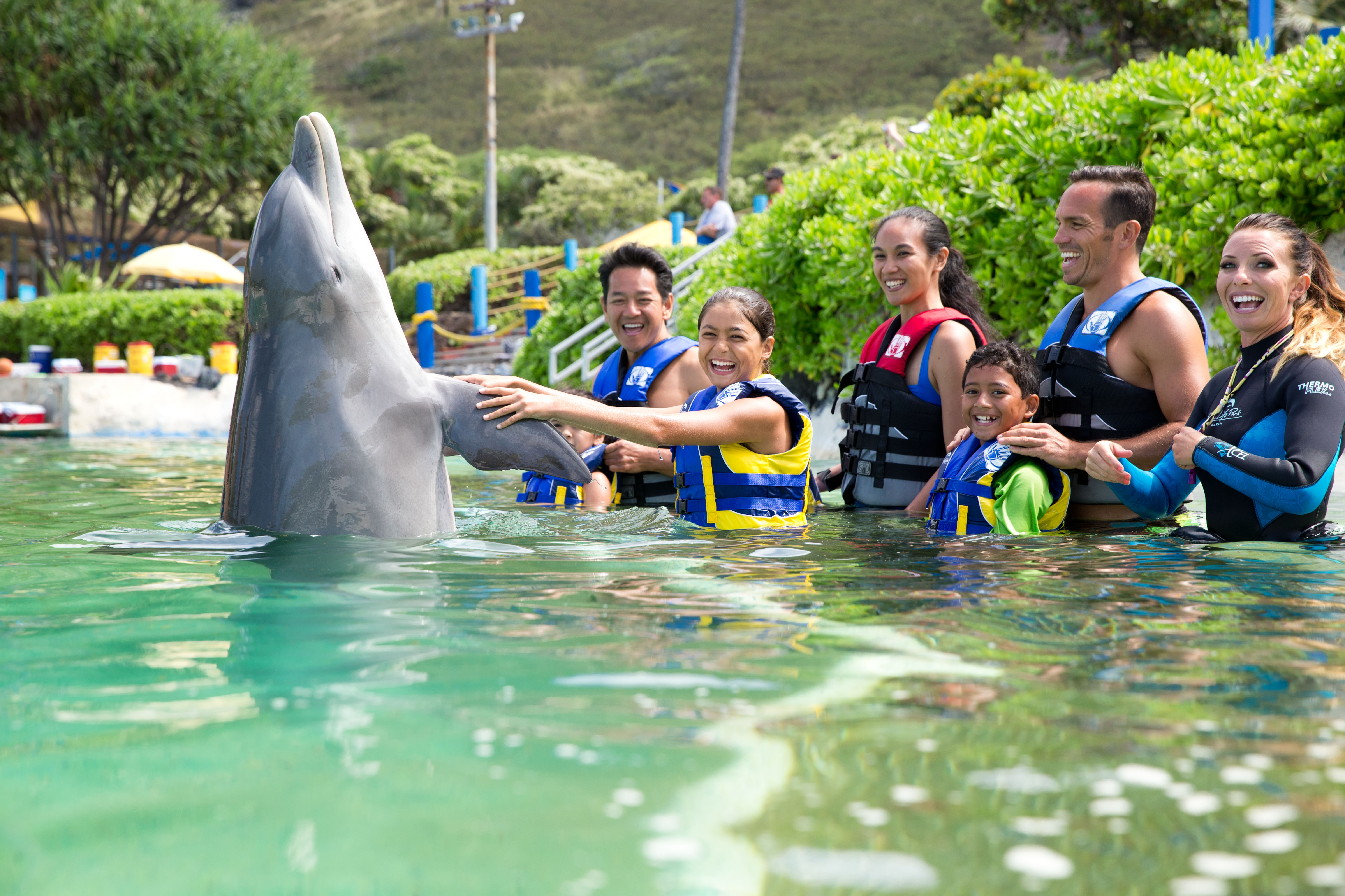 Product Dolphin Encounter - Age 4 and Older