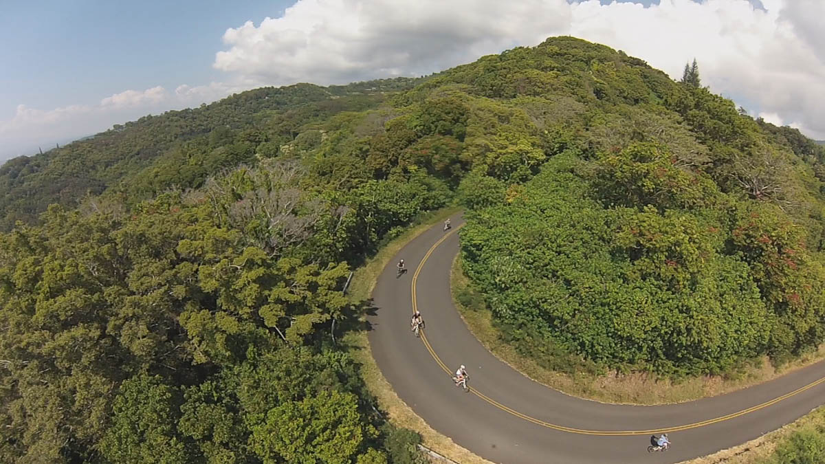 Product Downhill Bike Adventure