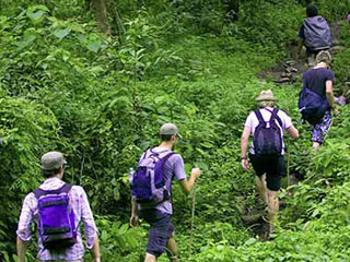 Product Volcanic Rainforest Hike