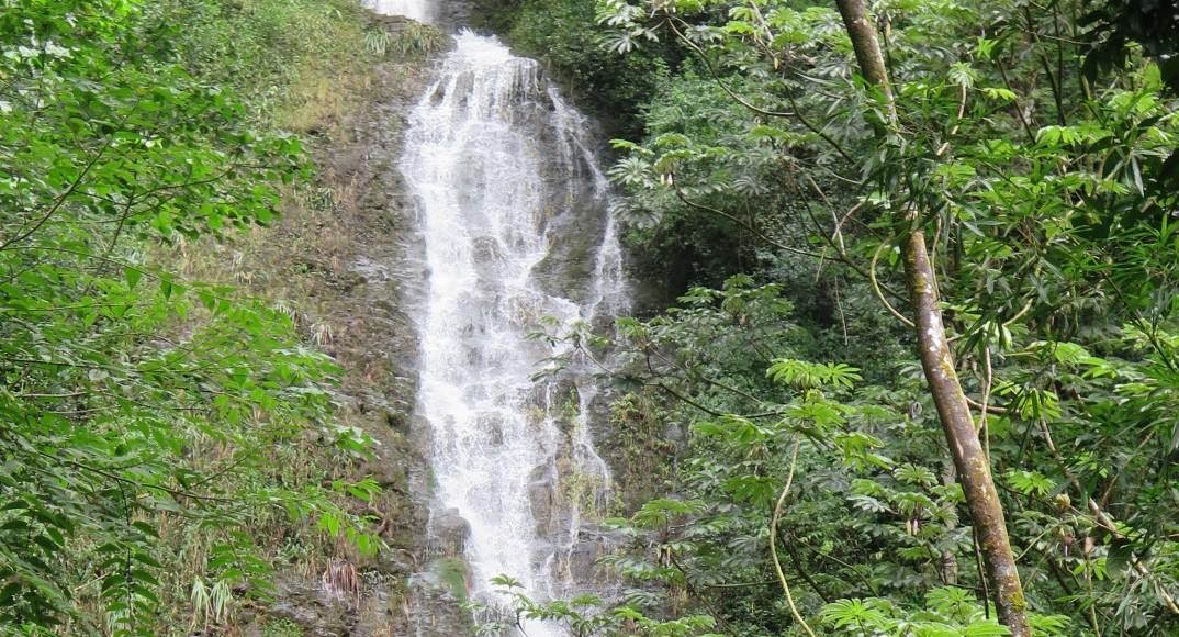 Product Hawaiian Waterfall Hike