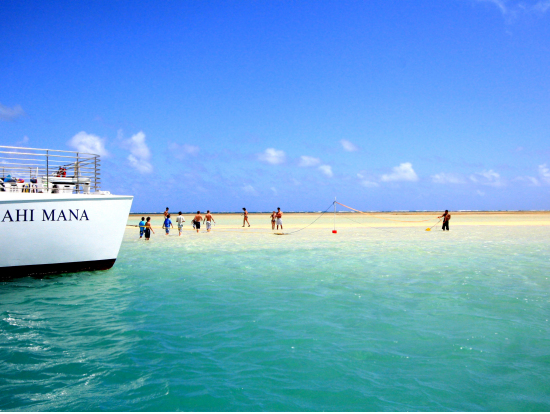 Product Sandbar Snorkel