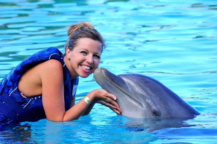 Product Dolphin Exploration - Age 8 and Older