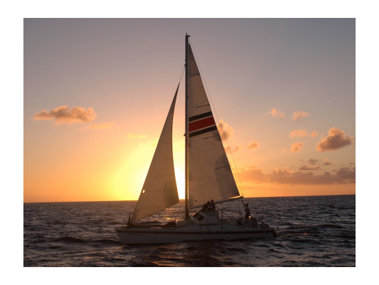 Product North Shore Sunset Whale Watch