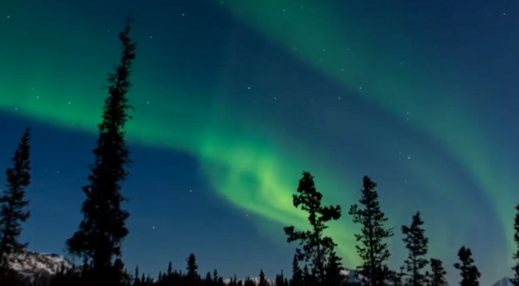 Denali National Park and Preserve
