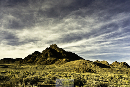 Photography-Landscape-untitled
