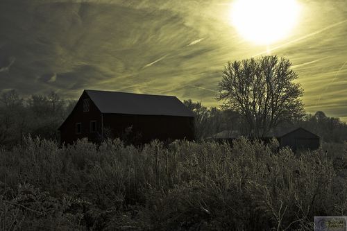 Photography-untitled