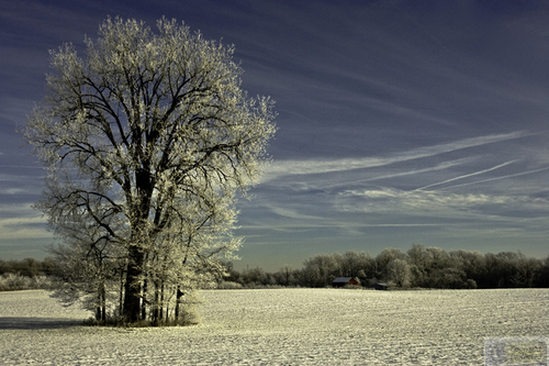 Photography-Landscape-8189 untitled