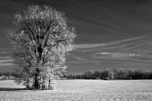 Photography-8189 B&W untitled