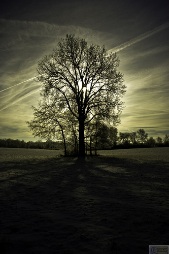 Photography-Landscape-8175 untitled