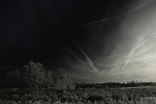 Photography-Landscape-Field of Trails
