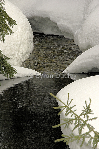 Photography-Nature-Lolo Stream