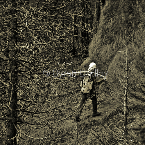 Photography-untitled
