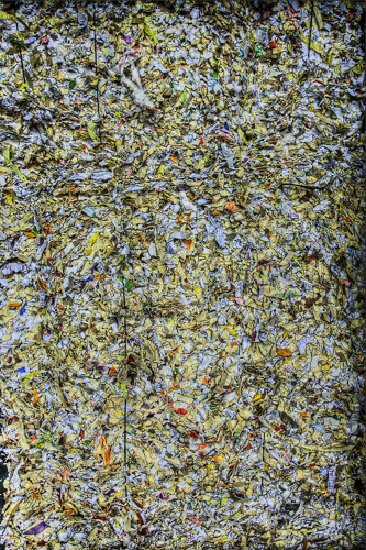 Photography-EFI #1(Environmentally fragmented illusion)