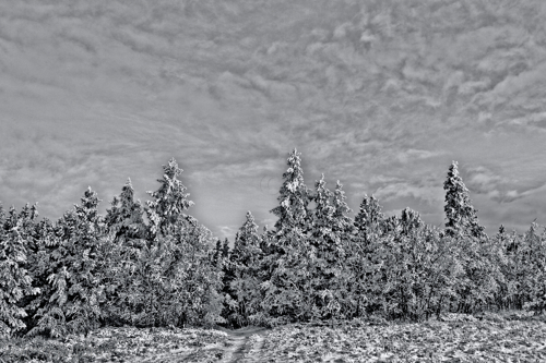 Photography-Mount Sherman first snowfall #5b