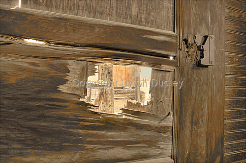 Photography-Untitled