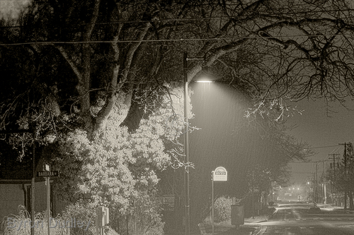Photography-Untitled