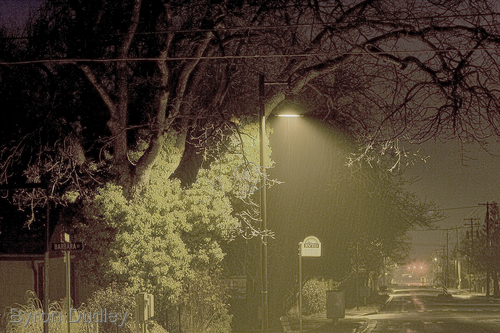 Photography-Untitled