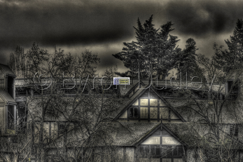 Photography-Bowman's Backside
