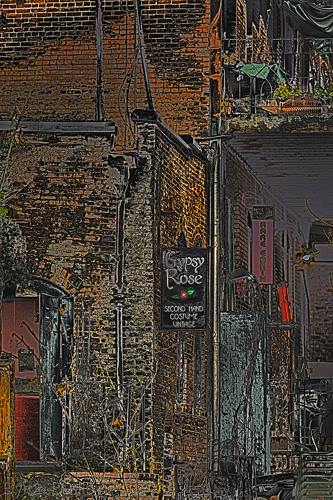 Mixed Media-Gypsy Rose #3b