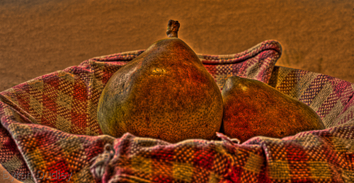 Photography-Still Life-Untitled