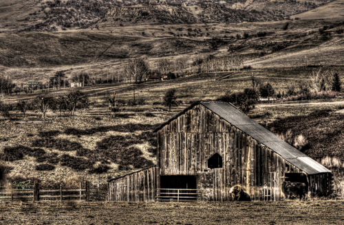 Photography-Landscape-untitled