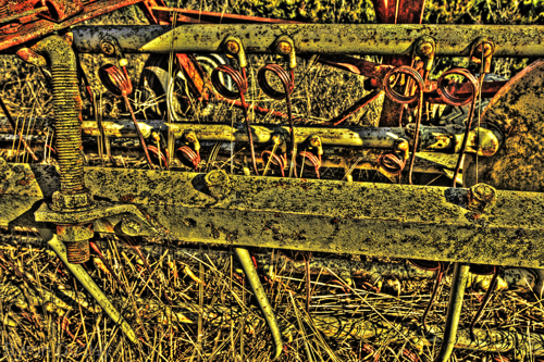 Photography-Untitled