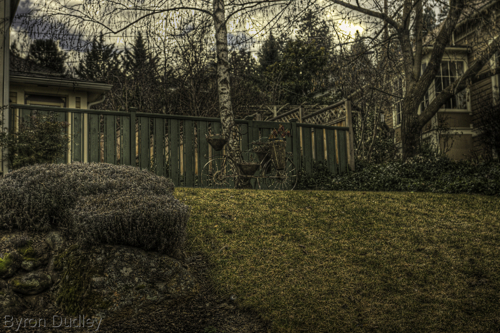 Photography-Untitled