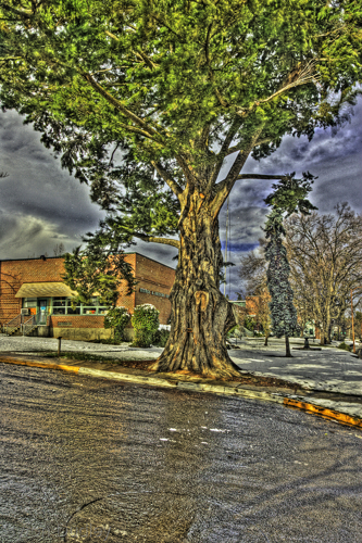 Photography-The Briscoe School