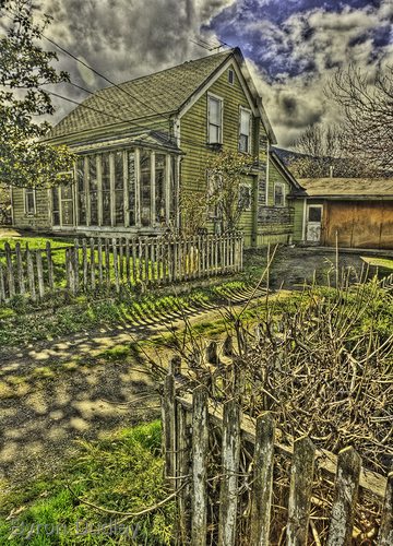 Photography-Untitled