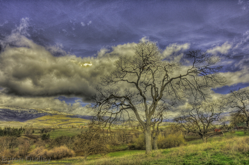 Photography-Untitled