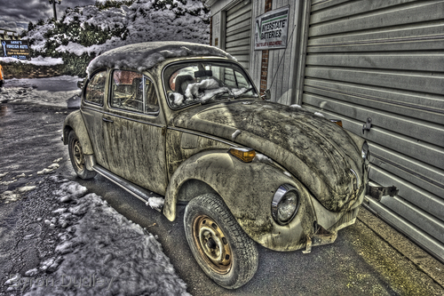 Photography-Herbie's Stepchild
