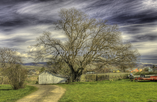 Photography-untitled