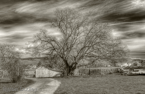 Photography-untitled