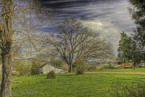 Photography-untitled