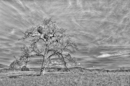 Photography-untitled