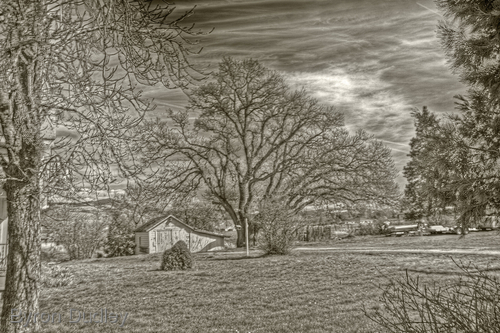 Photography-untitled