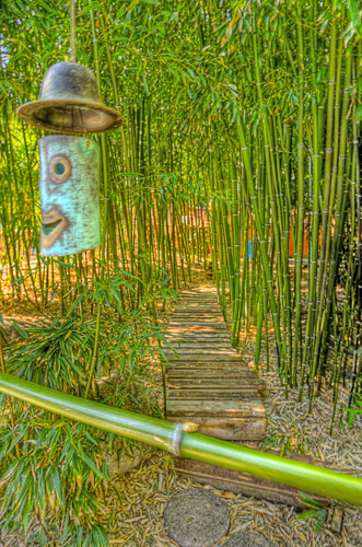 Photography-Landscape-4th Streets Bamboo Alleyway