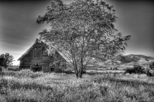 Photography-untitled