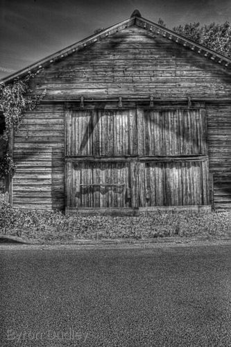 Photography-untitled