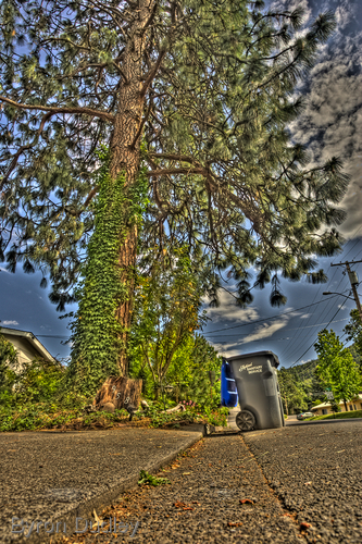 Photography-Curbside