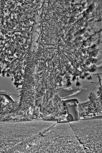 Photography-Curbside #2